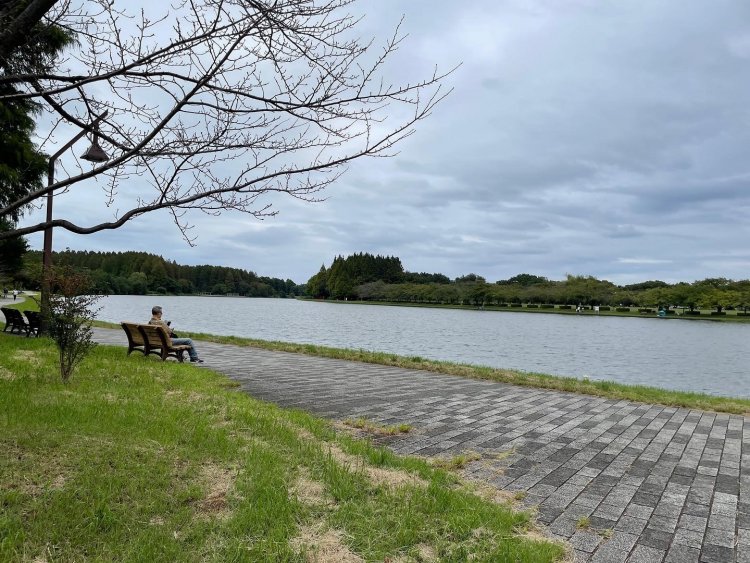 広大なみさと公園（水元公園川から撮影）。