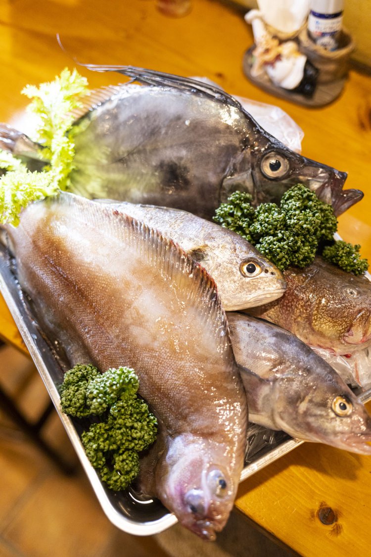 日本海産の珍しい魚介類。