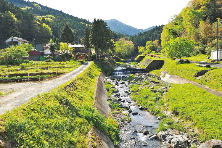 虫沢の集落内を流れる虫沢川。