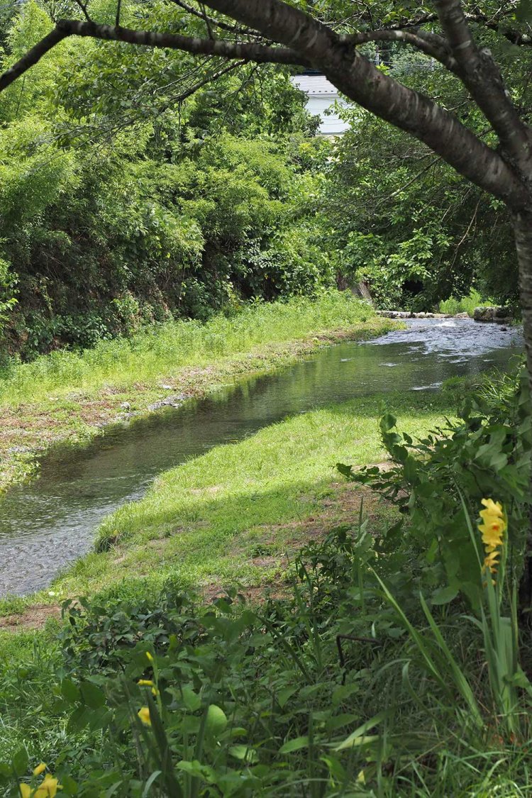 中里集落を流れる沢井川。このあたりの流れもきれいだ。
