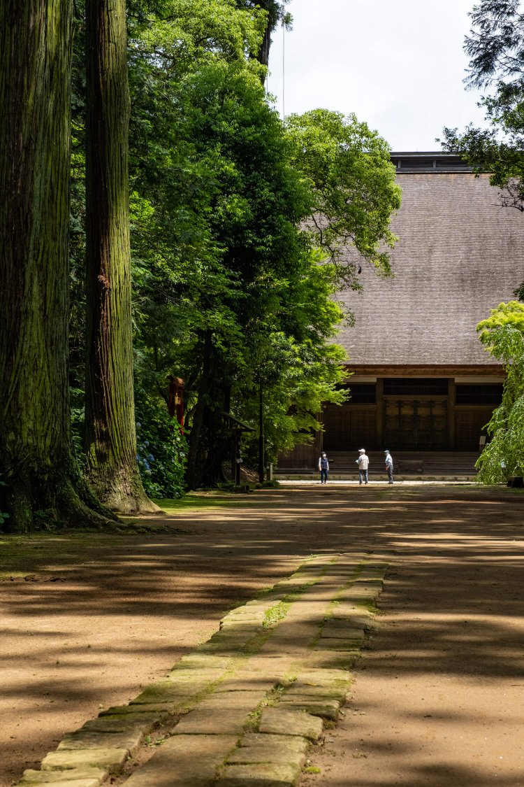 杉並木の先に鎮座する木造入母屋造り栩葺き（とちぶき）の講堂。