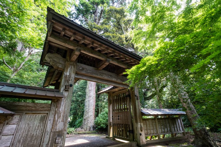 高麗（こうらい）門様式銅板葺きの総門が訪れる者を出迎える。