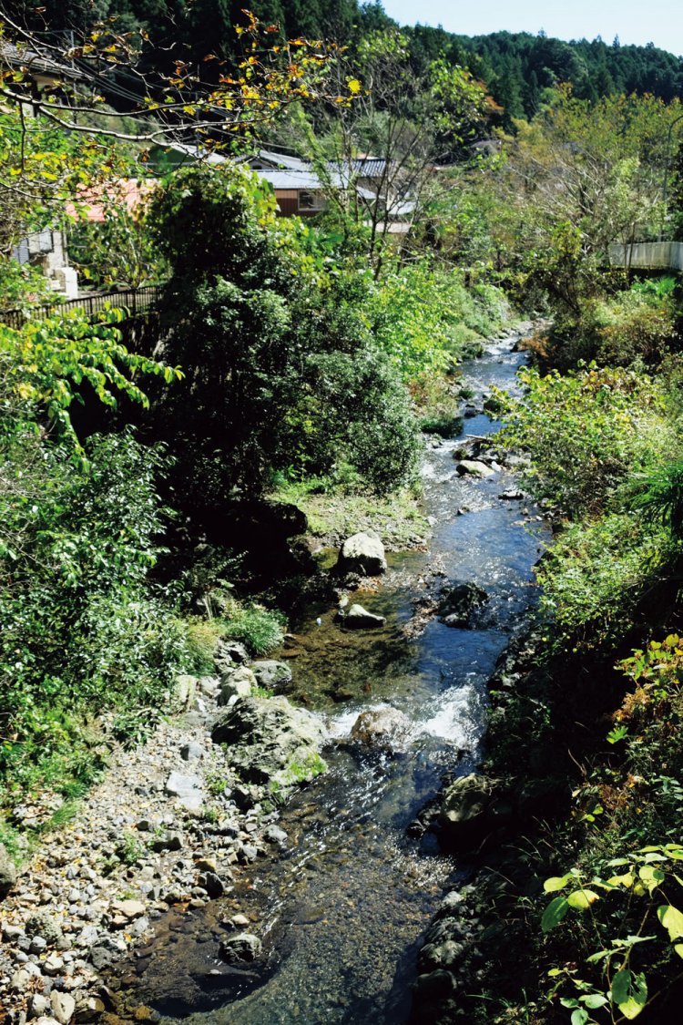 軍畑から榎峠に行く途中は、多摩川の支流の平溝川沿いに歩いていく。きれいな川で、川沿いに住む人がうらやましい。