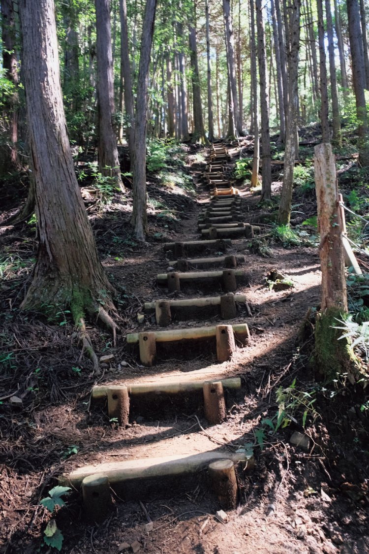 榎峠の登山口から登山道に入ると、このような木段が何度も何度も出てくる。最初だけにやや苦しい。