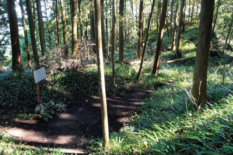 辛垣山の標識がある。山城の空堀や土塁などは少し残っているようだが、全体的にわかりにくい。