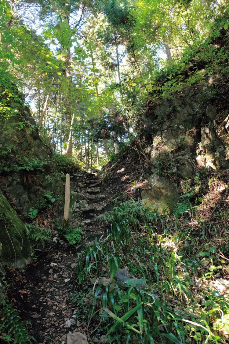 辛垣山から下山してくると山城の虎口のような場所だが。でもここは江戸期から大正にかけて石灰石を採掘したところなので城の遺構はほとんどない。