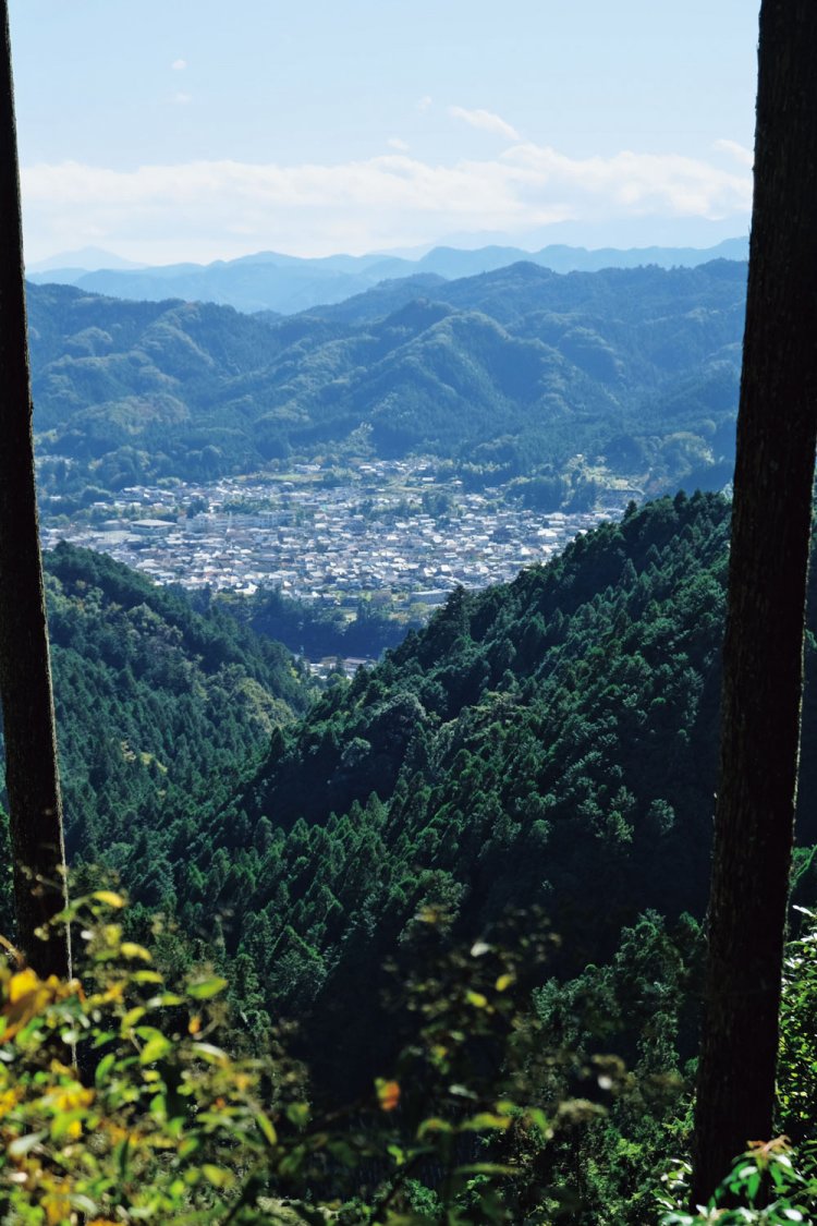 名郷峠を過ぎて少し行った右手に視界が開けたところがある。おそらく木々を伐採したのだろう。西側が見え、二俣尾の家並みや奥多摩の山々。