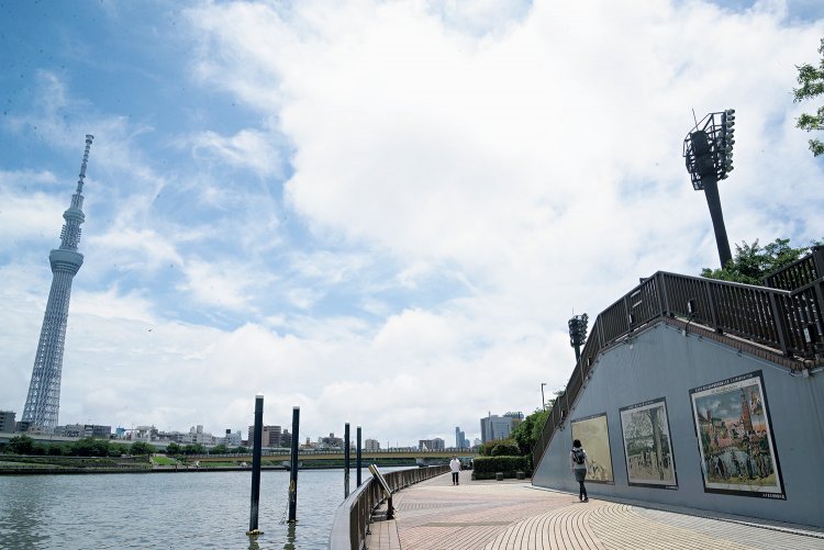 散歩テラスは白鬚橋の手前まで続いている。向こうに見えるのは桜橋。