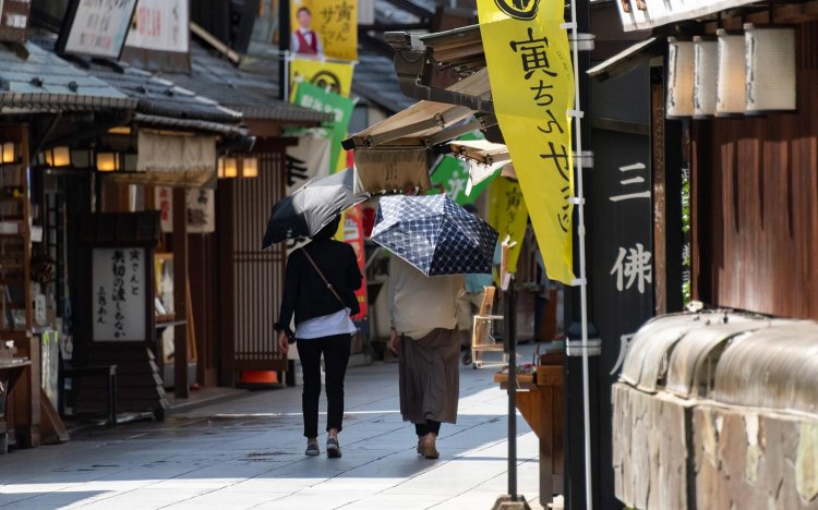 【東京おでんだね】柴又おでん散策