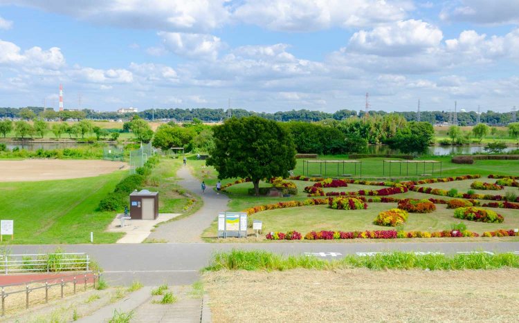 【東京おでんだね】柴又おでん散策