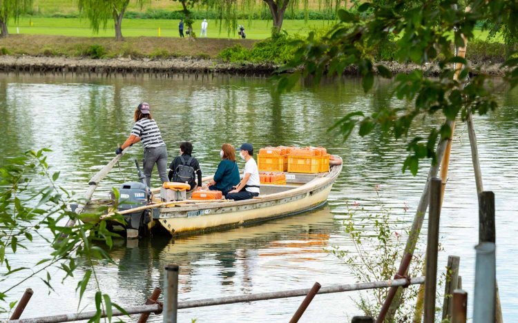 【東京おでんだね】柴又おでん散策