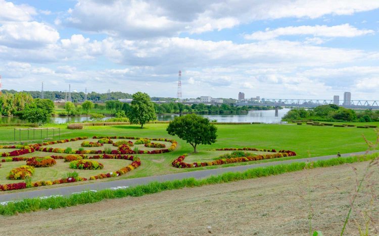 【東京おでんだね】柴又おでん散策