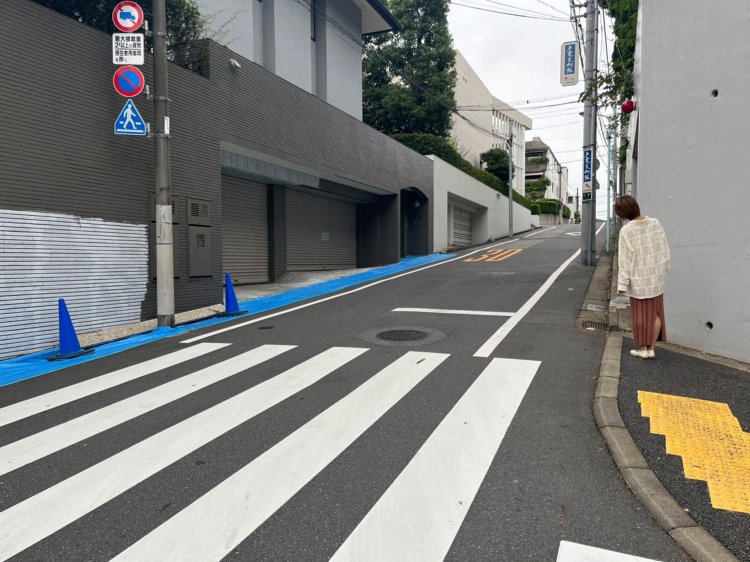 東京の第一種低層住居専用地域を代表する「ザ・高級住宅街」。