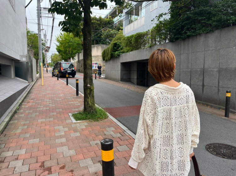 建蔽率や容積率が小さい値でも、そもそも敷地が広いので建物はデカイ。