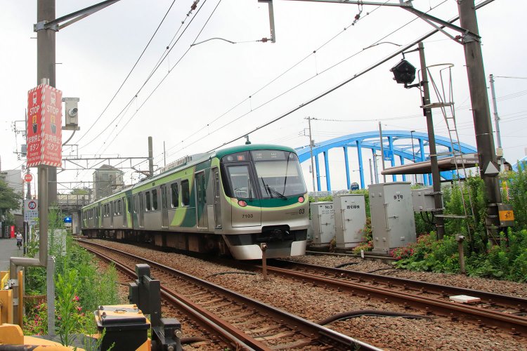 銀色ボディに赤ラインが入った1000系と緑のカラーが施された7000系の2種が走る。3両編成。