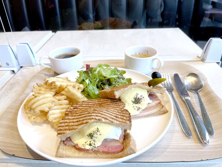 and which?（あんど うぃっち）