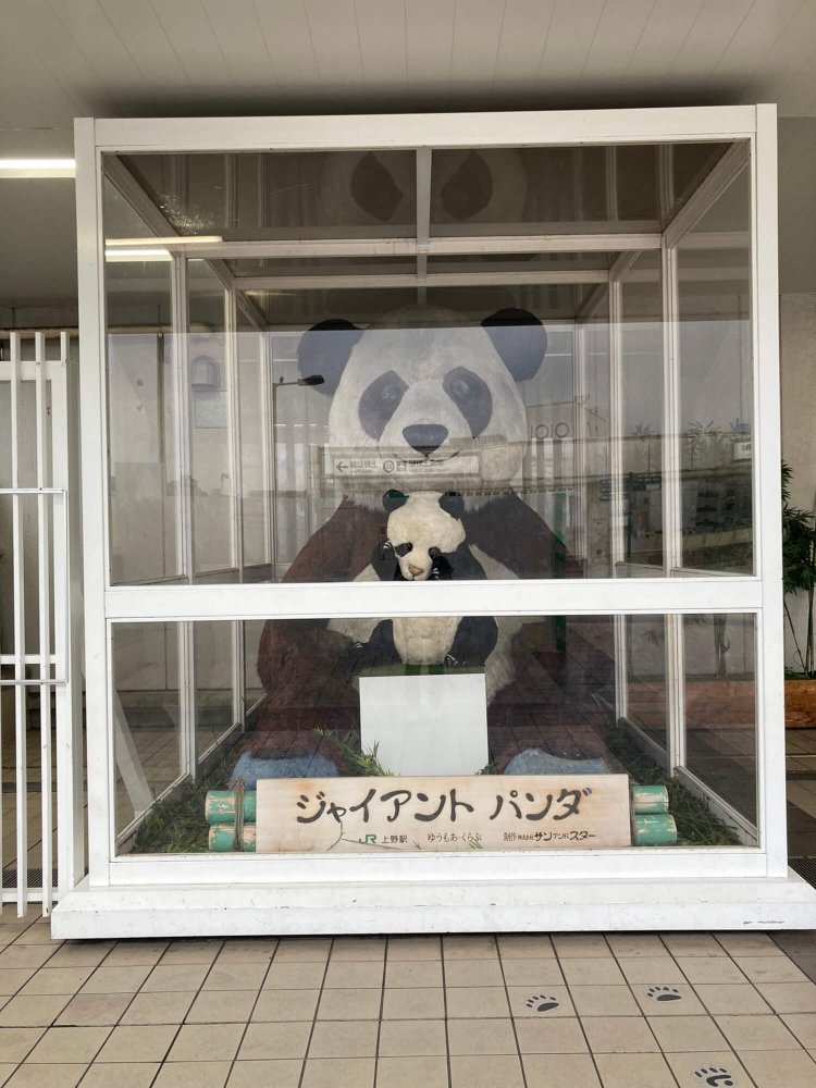 上野「ジャイアントパンダ」。