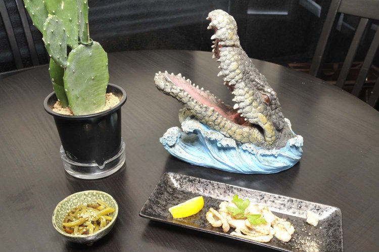 ワニタンのあぶりやサボテンのナムルはほとんどの人がまた注文するという。撮影するときはワニの置物やサボテンの鉢植えを借りよう。