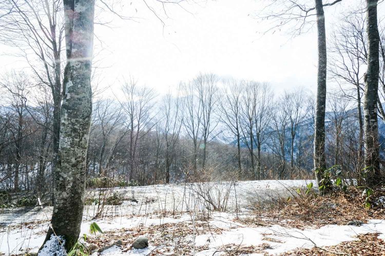 【カメラガールズ】HAKUBA MOUNTAIN HARBOR