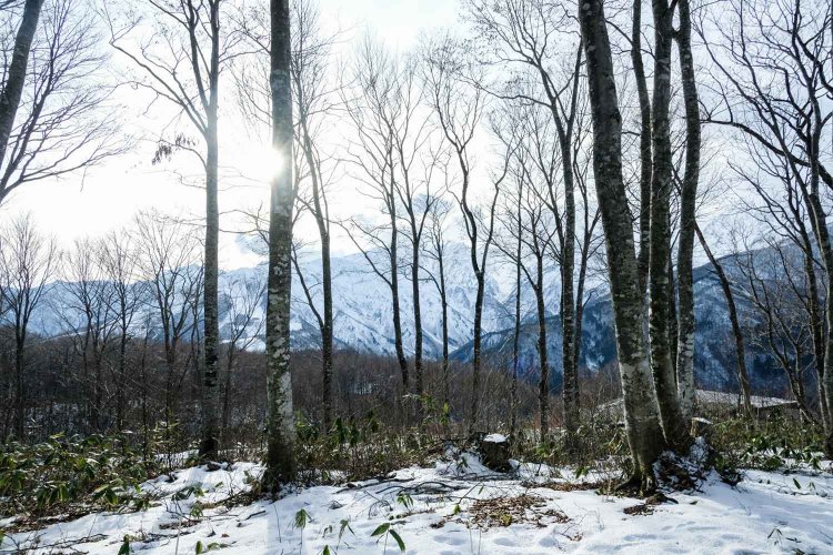 【カメラガールズ】HAKUBA MOUNTAIN HARBOR