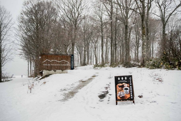 【カメラガールズ】HAKUBA MOUNTAIN HARBOR
