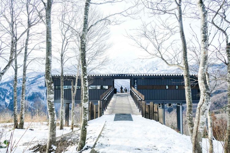 【カメラガールズ】HAKUBA MOUNTAIN HARBOR