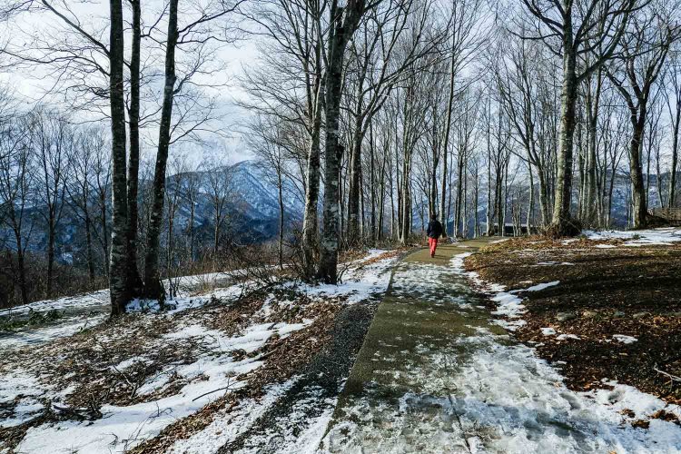 【カメラガールズ】HAKUBA MOUNTAIN HARBOR