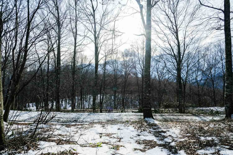 【カメラガールズ】HAKUBA MOUNTAIN HARBOR