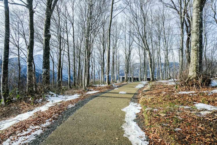 【カメラガールズ】HAKUBA MOUNTAIN HARBOR