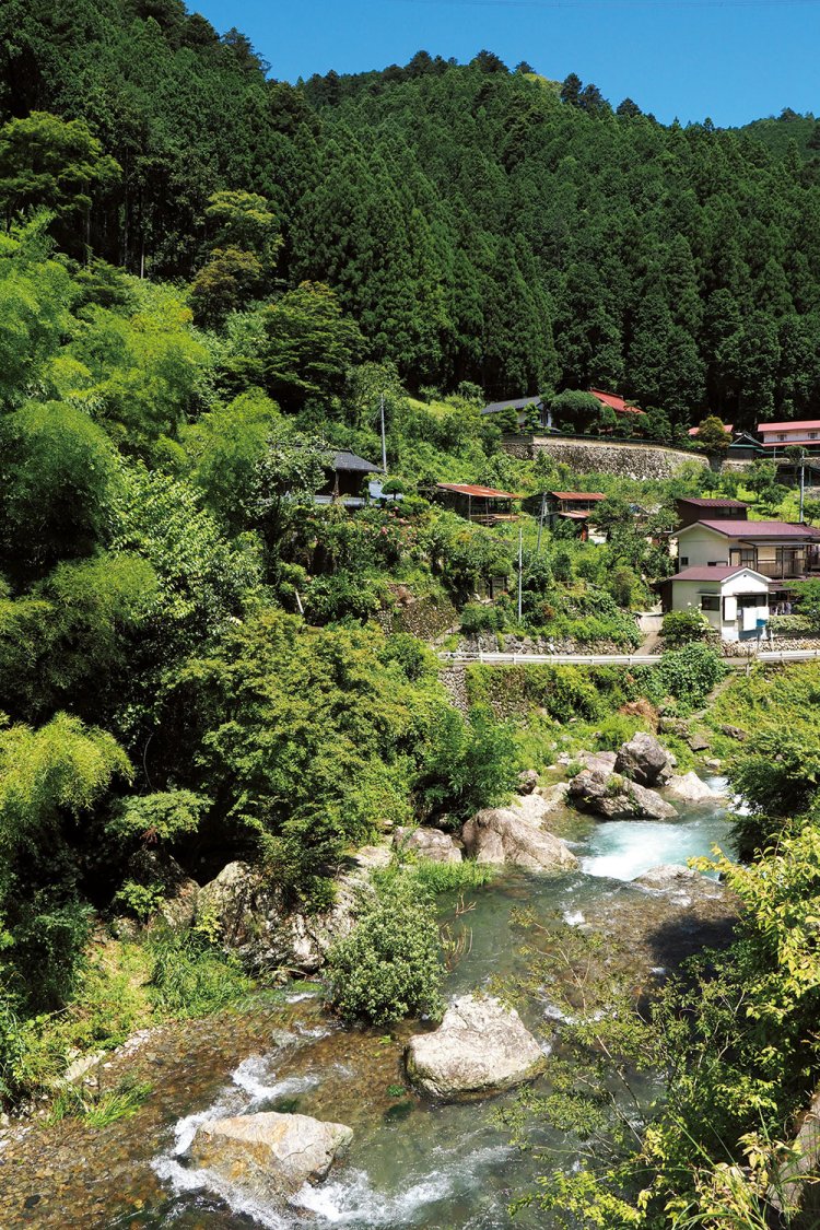 怒田畑の集落と養沢川。上方にみえる、石垣で囲われた家はまるで山城のようだ。怒田畑にはおよそ30軒の家がある。