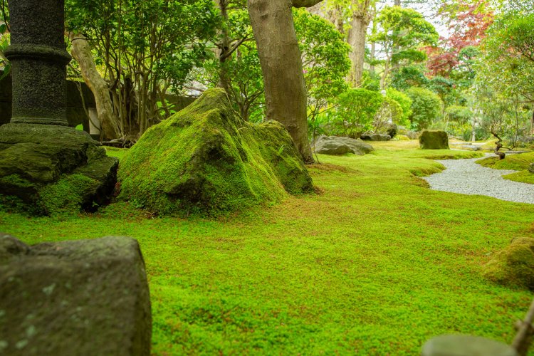 隅々まで回りたくなる鎌倉の寺4選。感覚を研ぎ澄ませて境内を散策しよう！