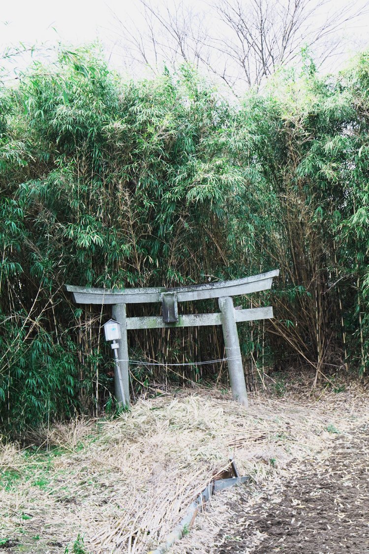 新川村の西端には土に三分の一ほど埋まった三島神社の鳥居がある。洪水の多さを証明している。