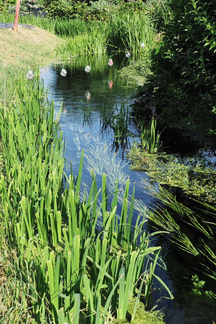 元荒川源流部。地下水をポンプで汲み上げて、水質を保っている。