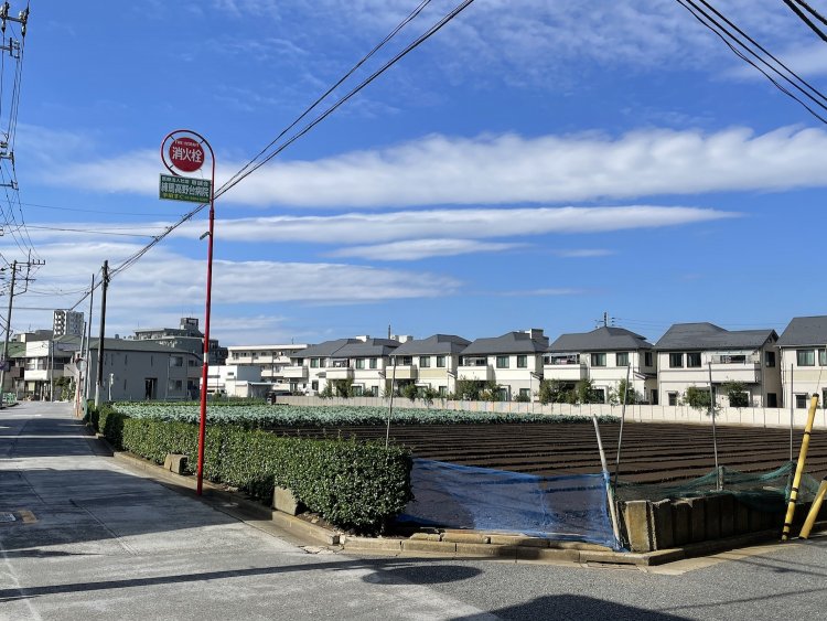 店の前に広がる畑。