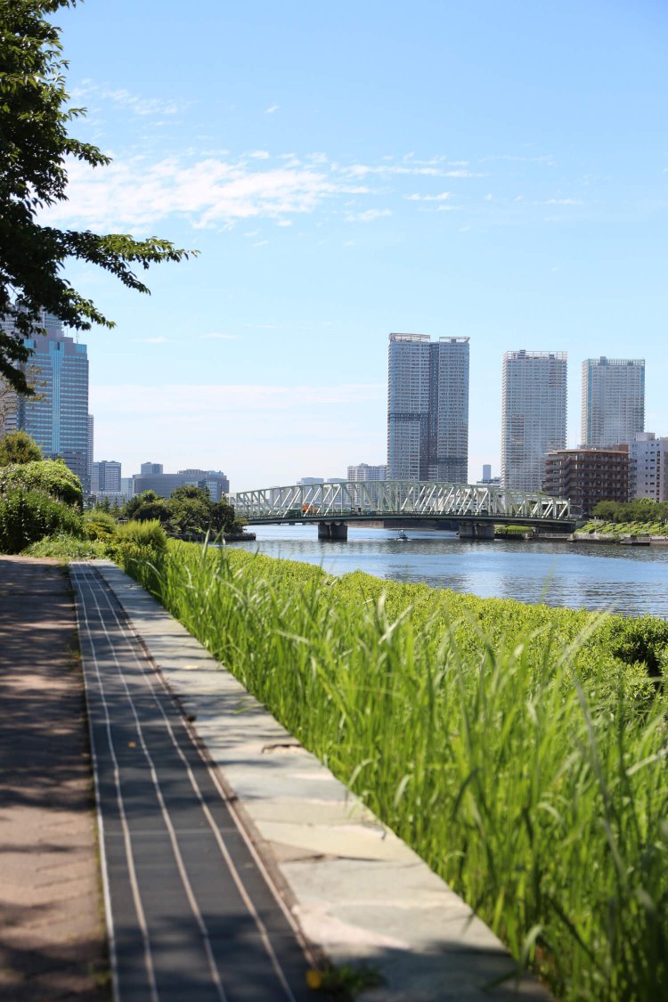 隅田川沿いに広がる越中島公園は、夜景スポットとしても人気。水上バスの発着所もある。