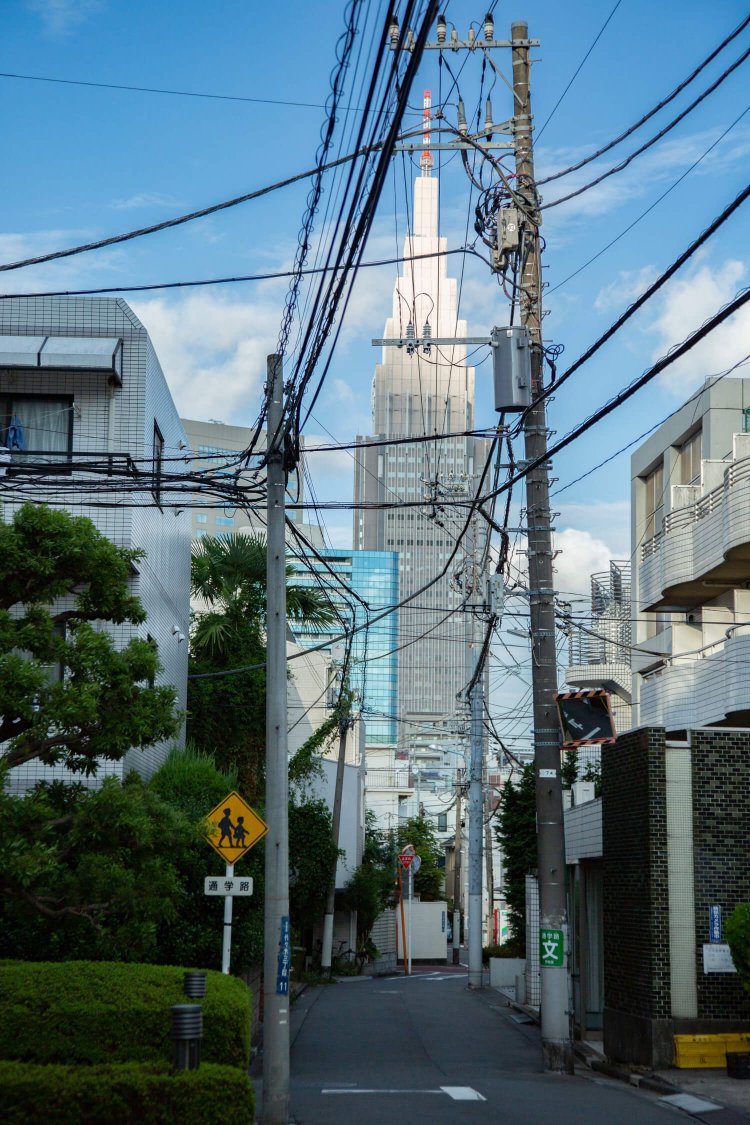 時折垣間見える新宿のビル群。