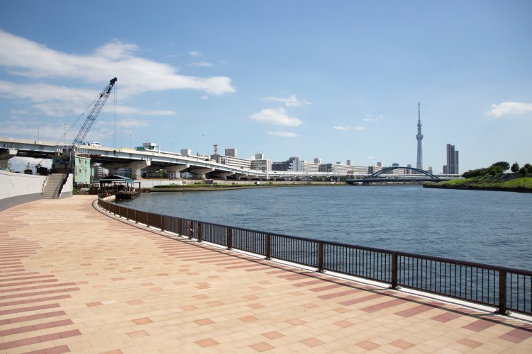 西口を出て数分歩けば隅田川だ。