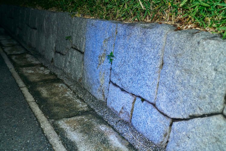 二の腕長毛。二の腕から突然びよーんと生えた、あの毛。