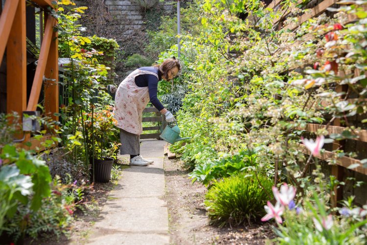 季節の花々が咲く庭。日々、店主の母が丁寧に手入れしている。