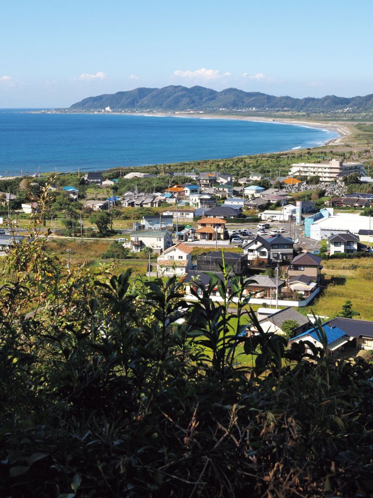野鳥の森の最初の展望台になる富士見展望台から。あいにく富士は見えなかったが、平砂浦の砂浜と洲崎方面が見えた。