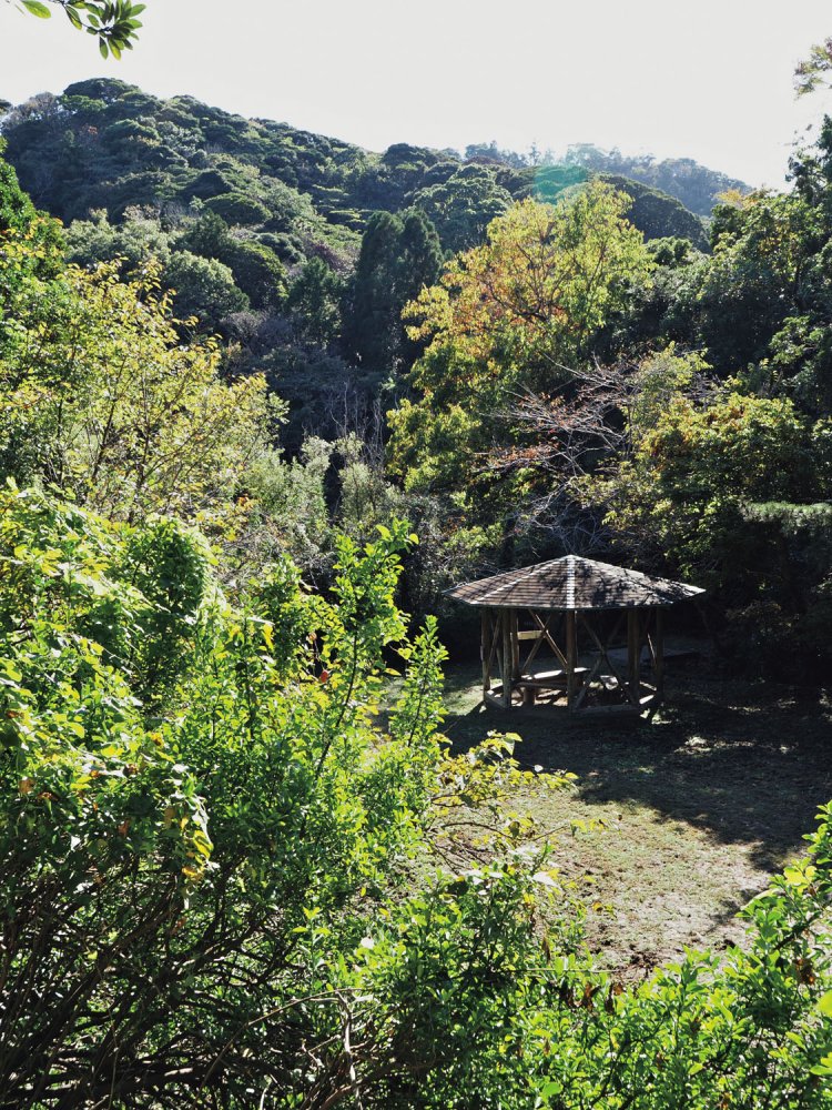 野鳥の森の西沢の池近くのピクニック広場。東屋がある。野鳥の森は広さが22.4ヘクタール。常緑広葉樹林帯で、野鳥のほか、小動物も多い。