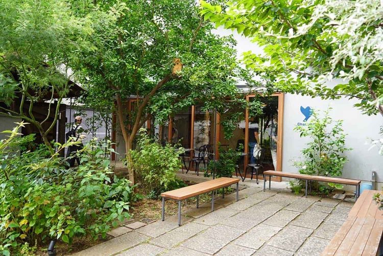 【Cafe Snap】Chanoma