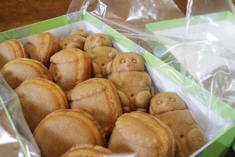 じっとこちらを見る、『山田家』の人形焼のたぬき。