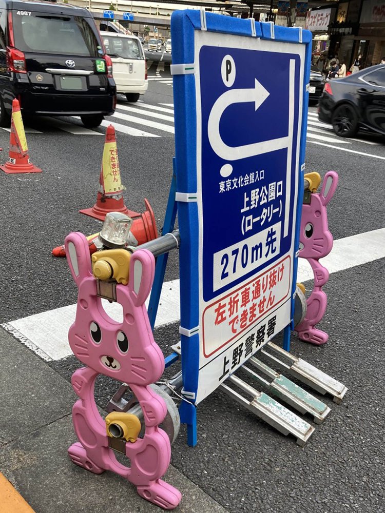 よく見かけるのがこちらのピンクのウサギ型。