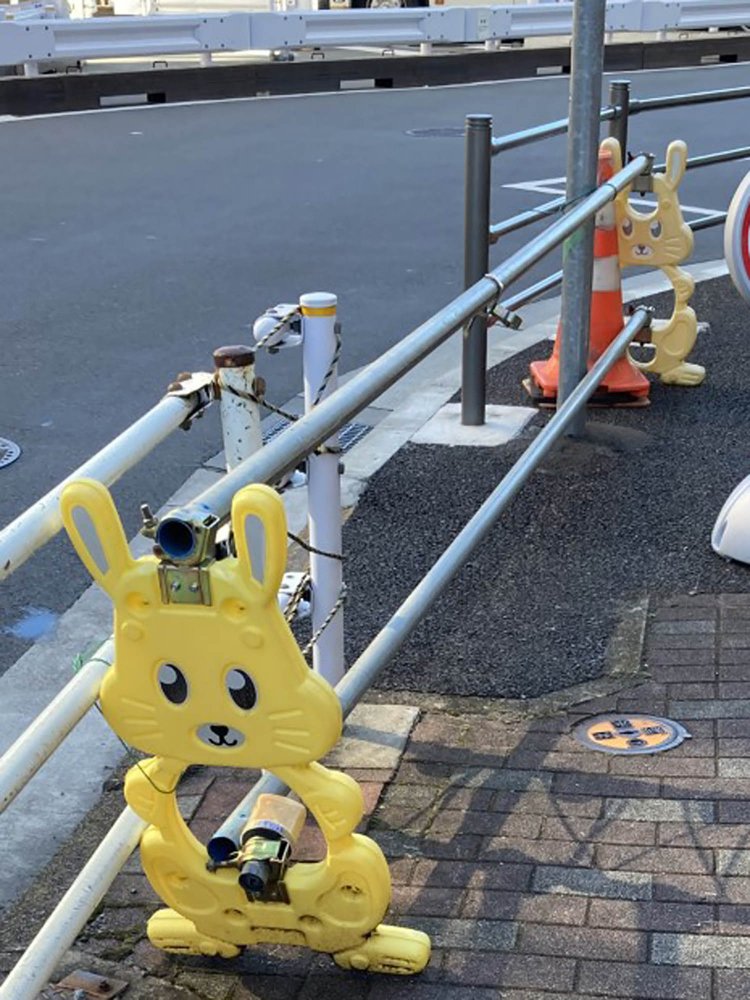 ウサギも色違いがあるようだ。