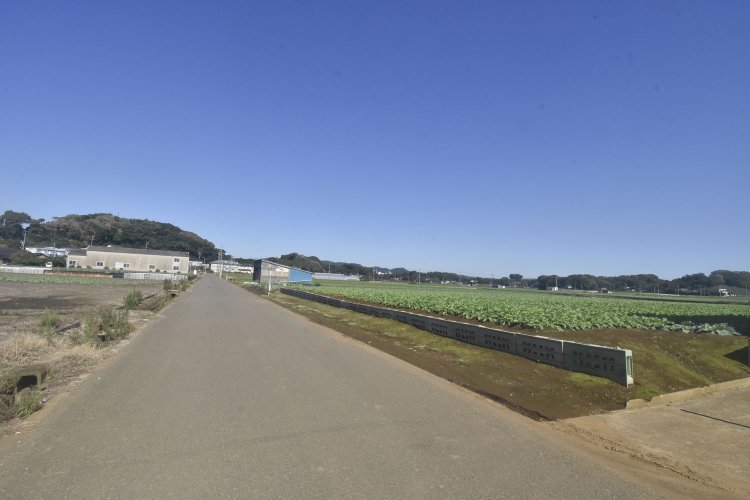 白旗神社への道は広大な農耕地の間を抜ける。