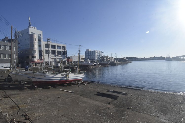 マグロの水揚げで知られる三崎港。マグロ料理店も建ち並んでいる。