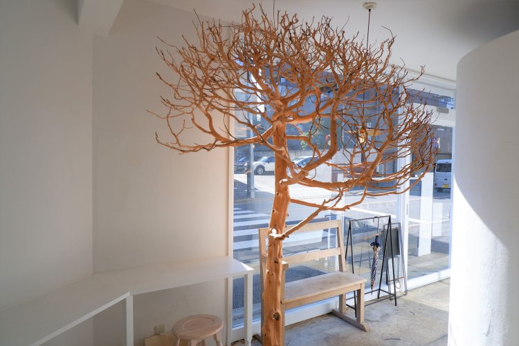 内装のアクセントになっているケヤキの木。