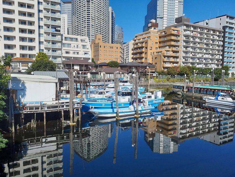 品川浦全景。江戸の昔から豊富な水揚げを誇る漁場で、海苔の養殖も盛んだった品川浦。残念ながら1957年以降、漁は行われていないが、今でも釣り船や屋形船の船だまりとして江戸の風情を色濃く残す。