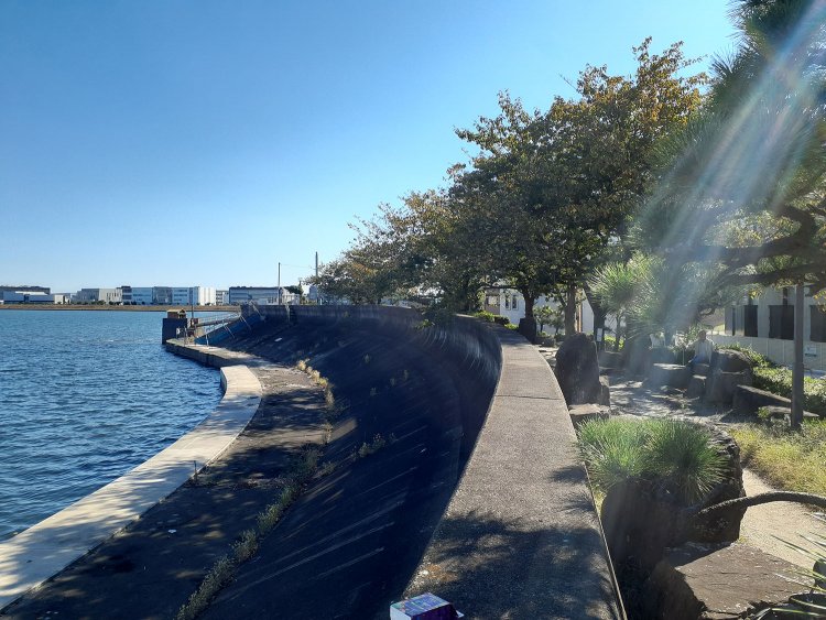 鯉太郎がハイハイした海老取川の堤防。いくら名シーンでも、いくら釣りバカファンでも、再現ショットとか撮らないよーに。ゼッタイ！